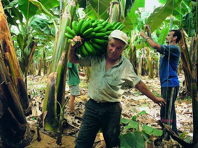 Transformación de la zona costera