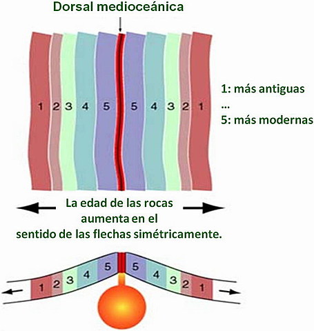 la edad absoluta de las rocas del fondo oceánico