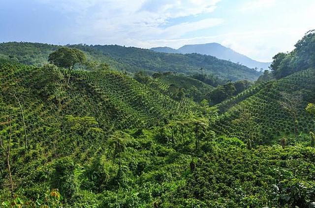 Colonización de la Sierra Nevada de Santa Marta
