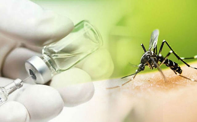 Vacuna contra la fiebre amarilla