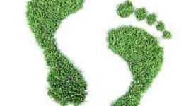 Timeline: Huella ecológica