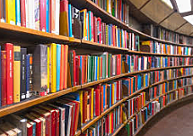 Referentes bibliográficos