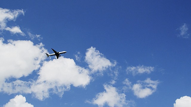 The Beginning of My Journey