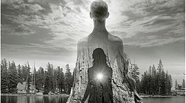 Timeline: Photography Timeline