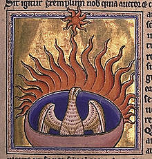 The phoenix from folio 56 recto of the Aberdeen Bestiary