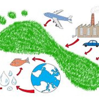 Timeline: HUELLA ECOLÓGICA