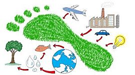 Timeline: HUELLA ECOLÓGICA