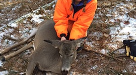 Timeline: History of Biking