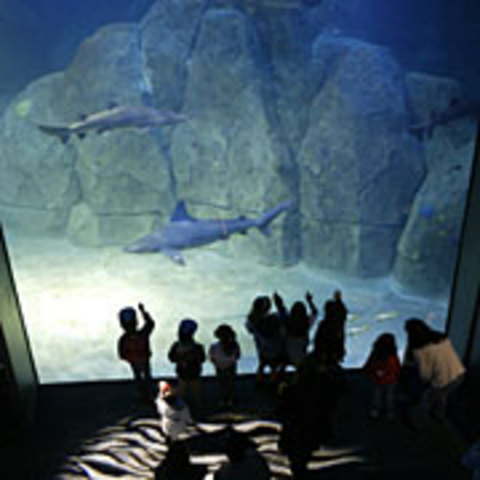AQUARIUM