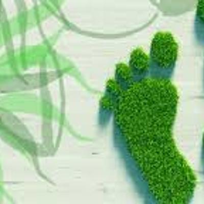 Timeline: Huella ecológica