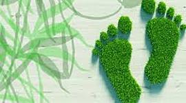 Timeline: Huella ecológica