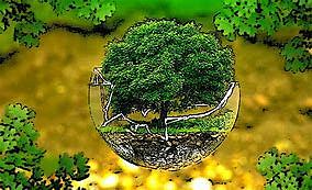 Indicadores y criterios de sustentabilidad