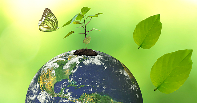 Indicadores y criterios de sustentabilidad