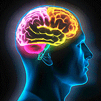 Objetos de contenido compartibles