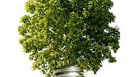 Timeline: Indicadores y criterios de sustentabilidad