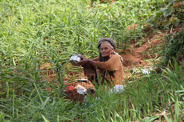 Myanmar i Tailàndia