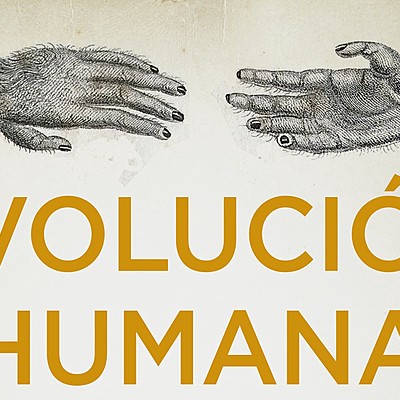 Timeline: La evolución humana