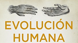 Timeline: La evolución humana