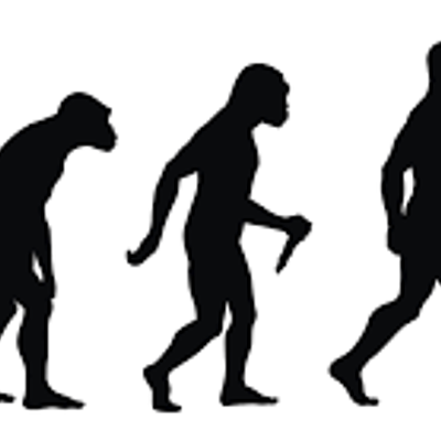 Timeline: La evolucion humana