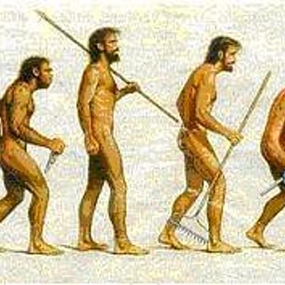 Timeline: Evolución Humana