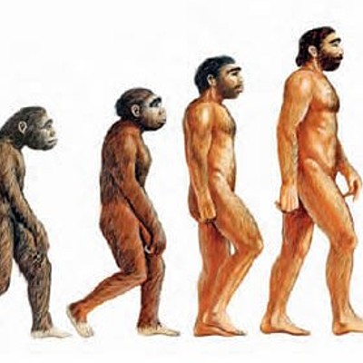 Timeline: Evolución humana