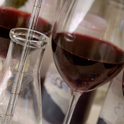 Timeline: Enoquímica I