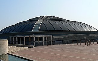 The XV world swimming championship