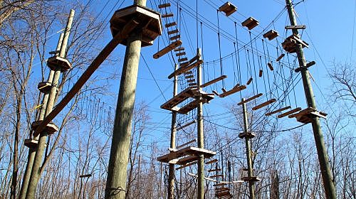 High Ropes Course