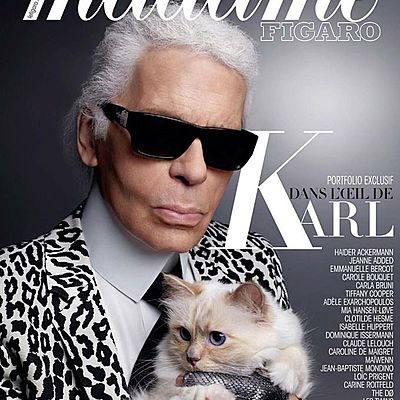 Timeline: Cats in the fashion industry