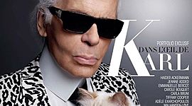 Timeline: Cats in the fashion industry