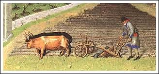 The Agricultural Revolution