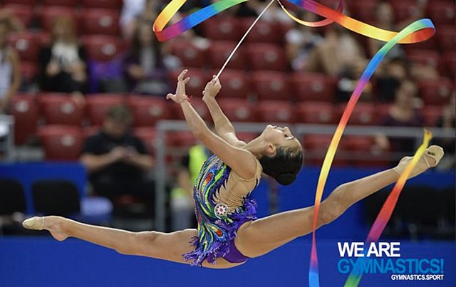 World championship individual 2010 (ribbon)