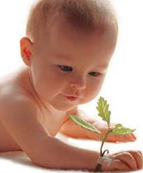 El dia que vaig nèixer.