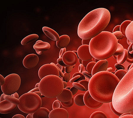 Красные клетки крови