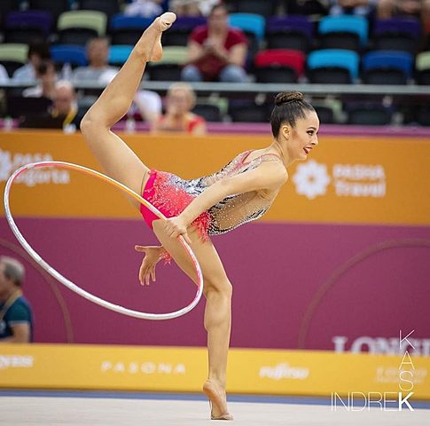 World championship individual 2013 (hoope)