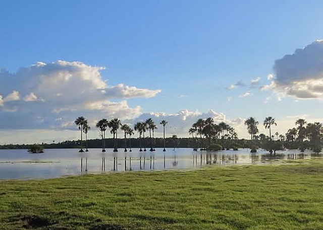 Decaimiento de la Orinoquia