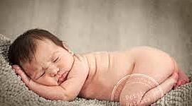 Timeline: ANY NEIXEMENT 2007