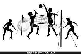 volleyball/basketball