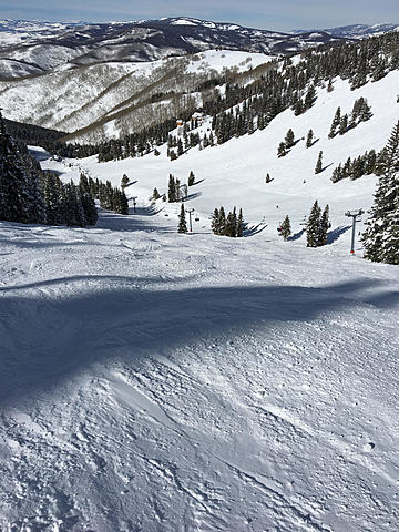 Family Trip to Colorado