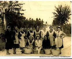 L'alça en la participació laboral de les dones