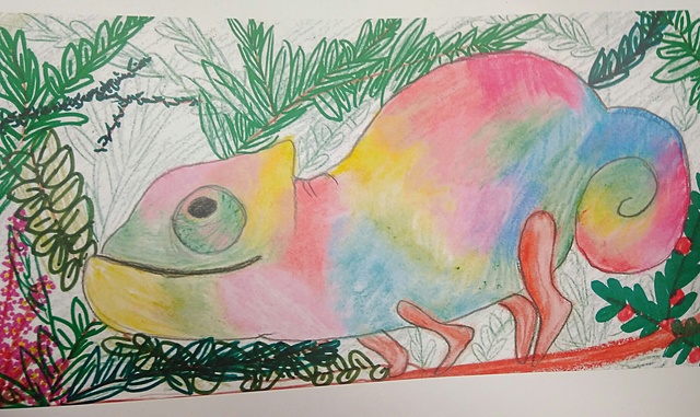 Guanyo un concurs de dibuix