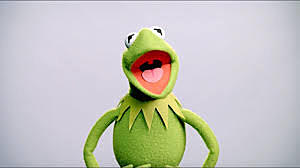 kermit