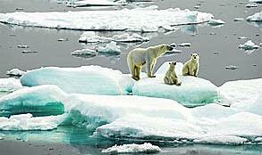 El desgel de l'Àrtic i l'Antàrtida