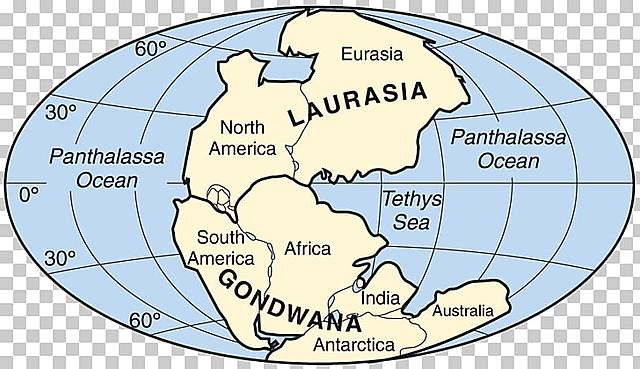 Separacion de Pangea