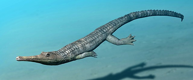 Aparición de Cocodrilos