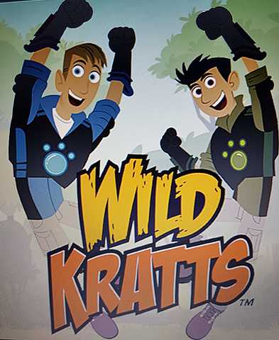 Naixemet del meu germà