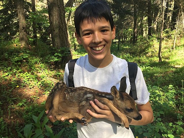 ENS TROBEM UN CABIROL A LA CERDANYA