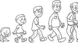 Timeline: Mi línea del tiempo