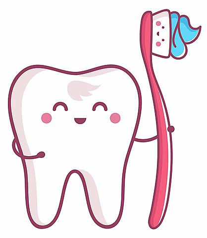 Em va caure la primera dent