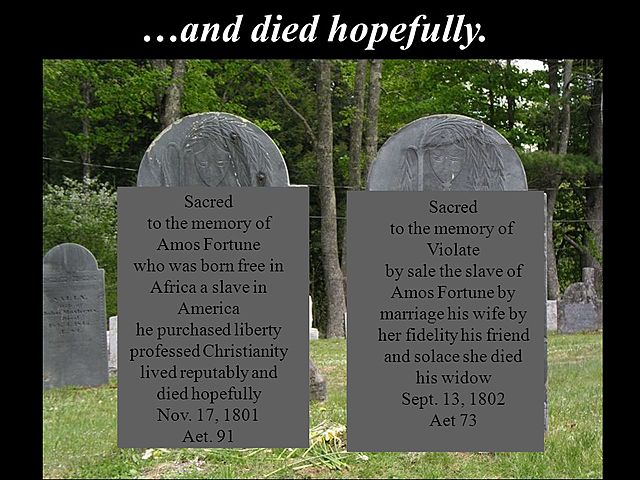 Amos and Violet are Living a Good Life